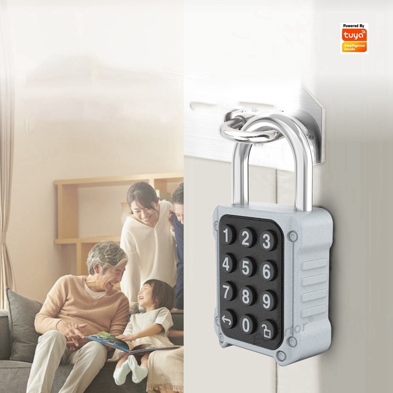EGFirtor Tuya APP Electronic S - огляд і ціна Lockbox Key Secure